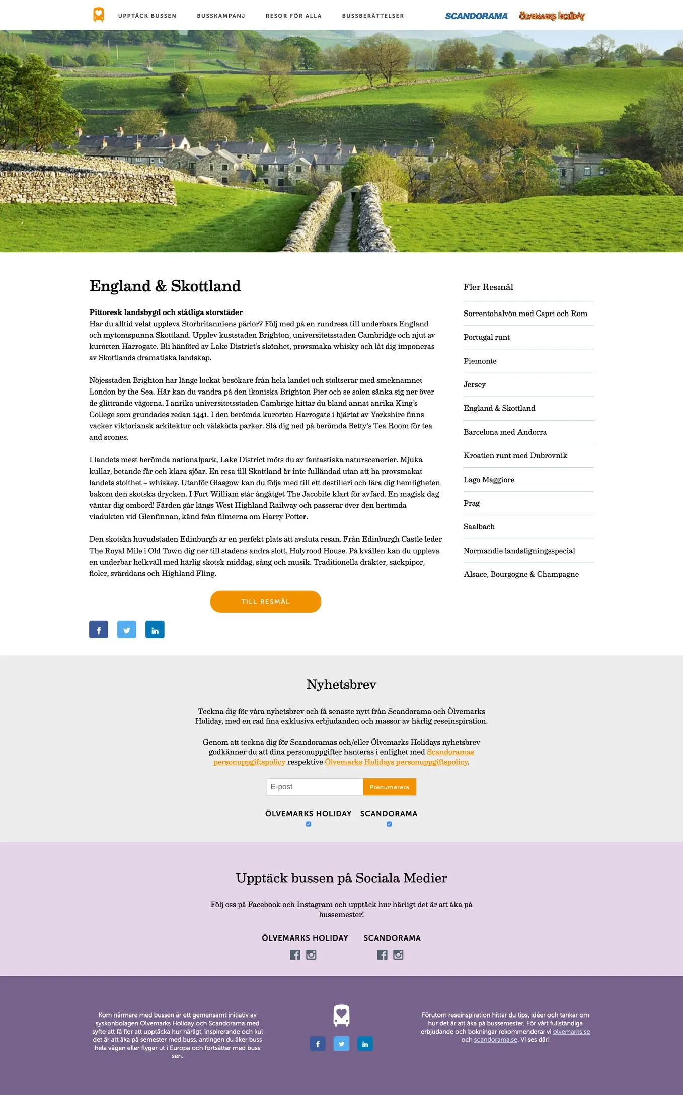 Bussemester - Image 2